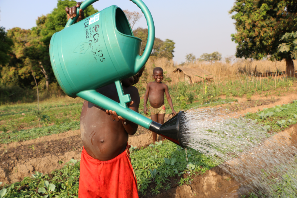 Boy pooring water from a water can onto an aker